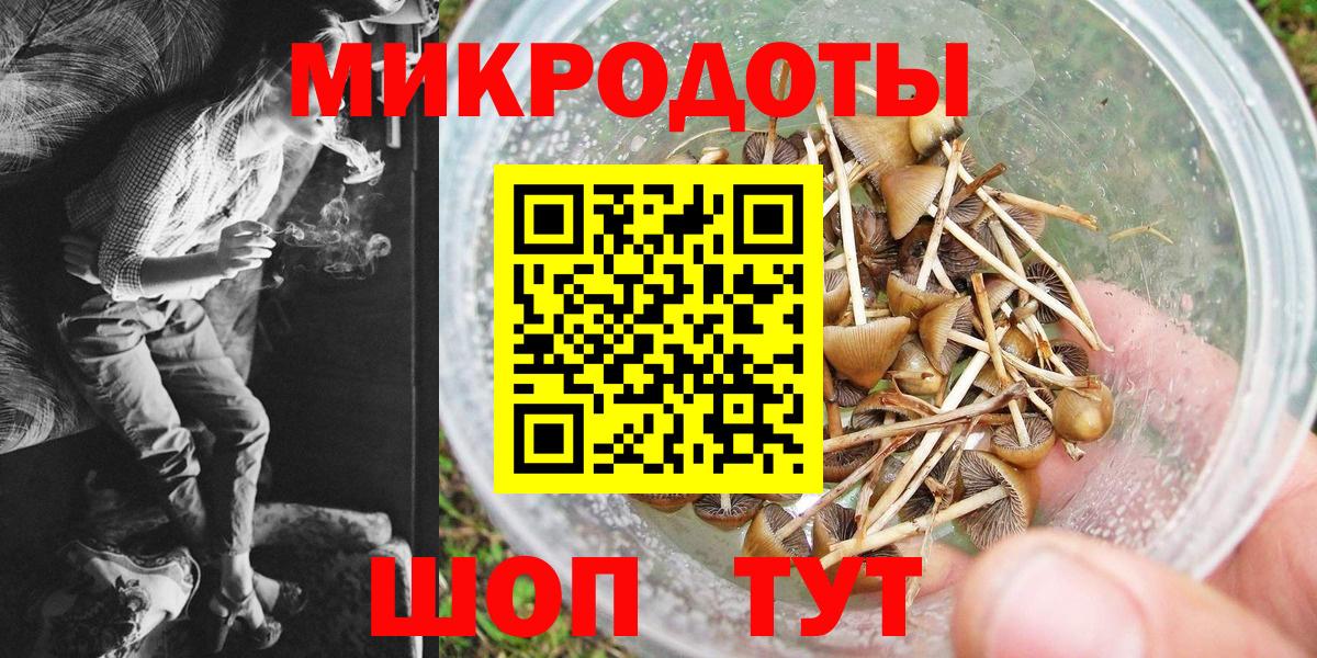 Псилоцибиновые грибы GOLDEN TEACHER  Псилоцибиновые грибы MAGIC MUSHROOMS  Светлоград  Вход с VPN 
